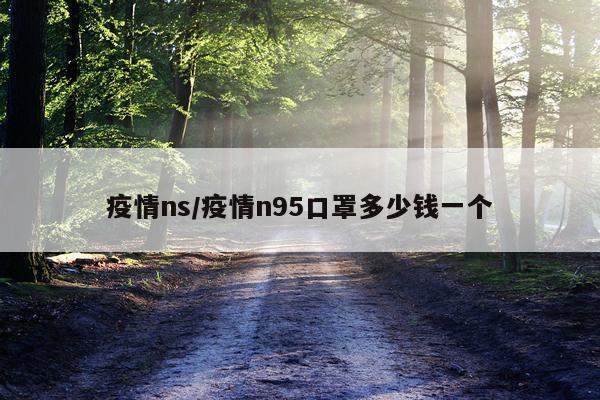 疫情ns/疫情n95口罩多少钱一个