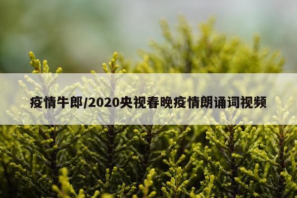 疫情牛郎/2020央视春晚疫情朗诵词视频