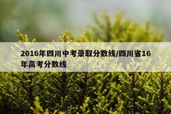 2016年四川中考录取分数线/四川省16年高考分数线