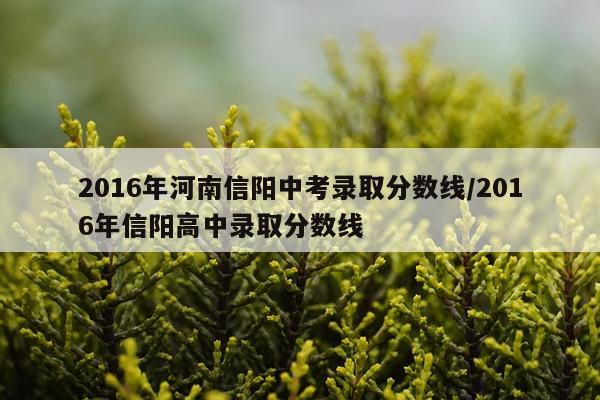 2016年河南信阳中考录取分数线/2016年信阳高中录取分数线