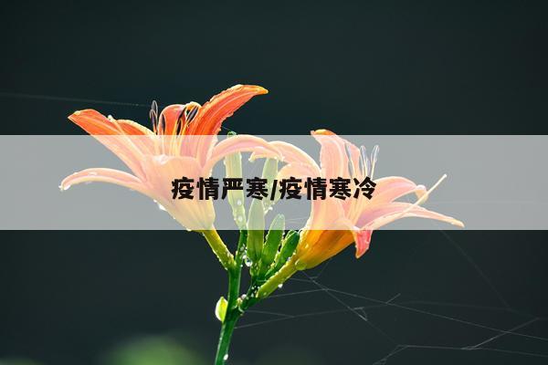 疫情严寒/疫情寒冷