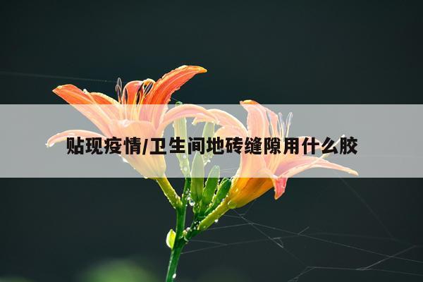 贴现疫情/卫生间地砖缝隙用什么胶