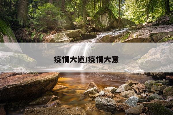疫情大道/疫情大意
