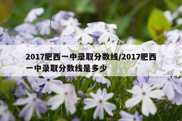 2017肥西一中录取分数线/2017肥西一中录取分数线是多少