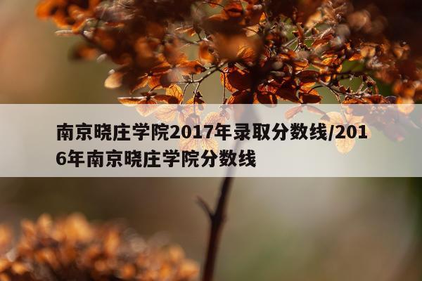 南京晓庄学院2017年录取分数线/2016年南京晓庄学院分数线