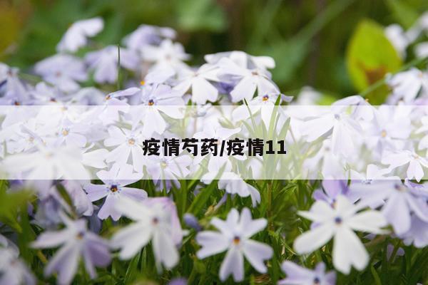 疫情芍药/疫情11