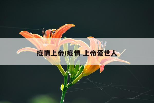疫情上帝/疫情 上帝爱世人