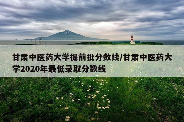 甘肃中医药大学提前批分数线/甘肃中医药大学2020年最低录取分数线