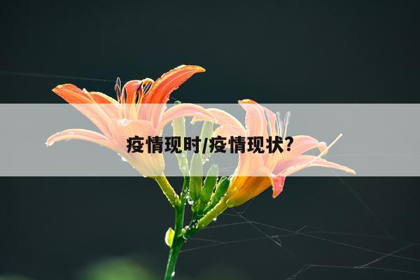 疫情现时/疫情现状?