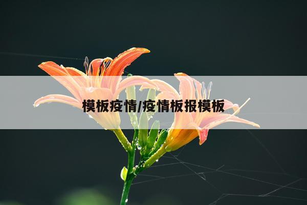 模板疫情/疫情板报模板