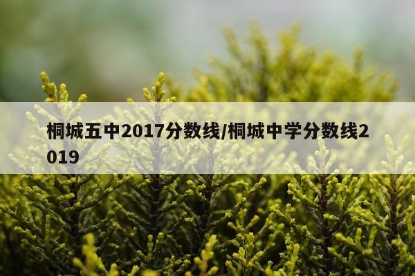 桐城五中2017分数线/桐城中学分数线2019