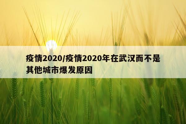 疫情2020/疫情2020年在武汉而不是其他城市爆发原因