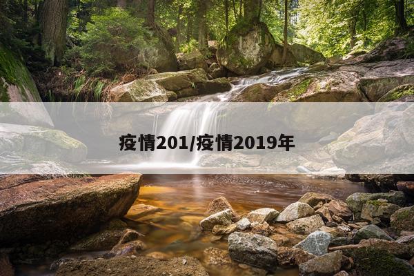 疫情201/疫情2019年