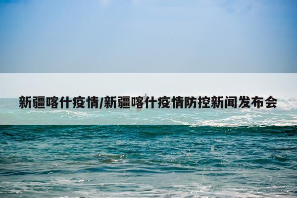 新疆喀什疫情/新疆喀什疫情防控新闻发布会