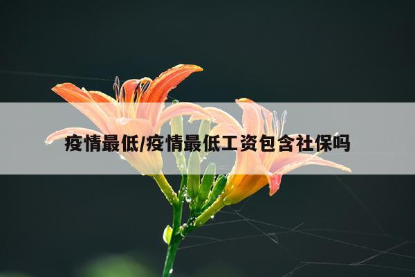 疫情最低/疫情最低工资包含社保吗