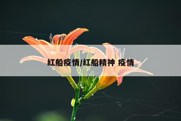 红船疫情/红船精神 疫情