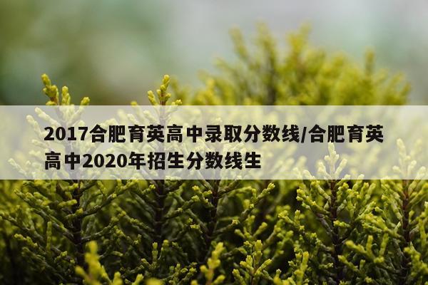 2017合肥育英高中录取分数线/合肥育英高中2020年招生分数线生