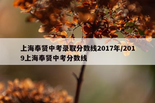 上海奉贤中考录取分数线2017年/2019上海奉贤中考分数线