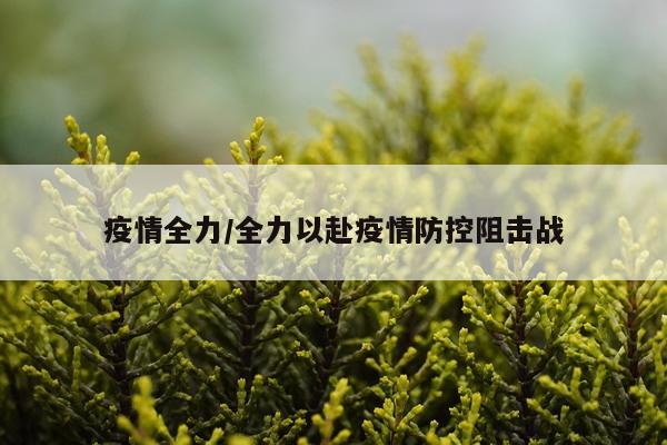 疫情全力/全力以赴疫情防控阻击战