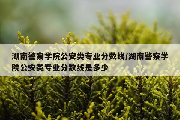 湖南警察学院公安类专业分数线/湖南警察学院公安类专业分数线是多少