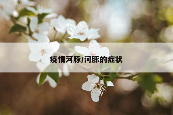 疫情河豚/河豚的症状