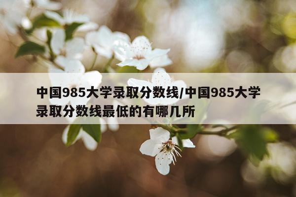 中国985大学录取分数线/中国985大学录取分数线最低的有哪几所