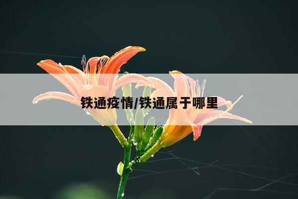 铁通疫情/铁通属于哪里