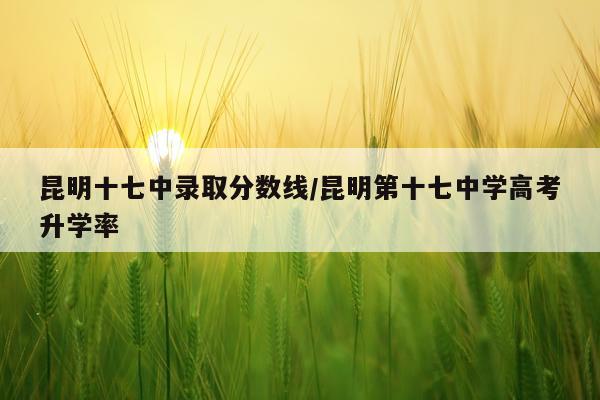 昆明十七中录取分数线/昆明第十七中学高考升学率