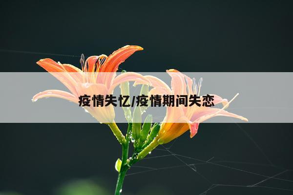 疫情失忆/疫情期间失恋