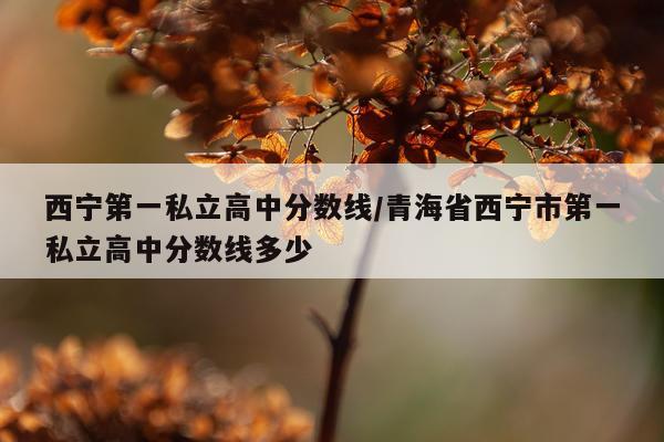 西宁第一私立高中分数线/青海省西宁市第一私立高中分数线多少