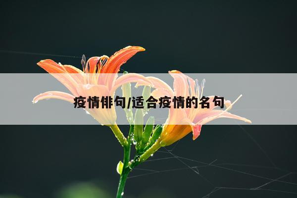 疫情俳句/适合疫情的名句