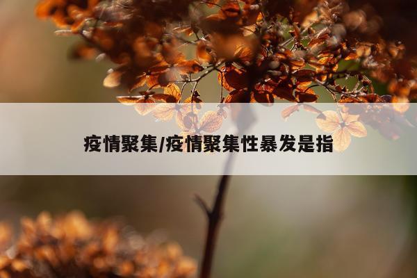 疫情聚集/疫情聚集性暴发是指