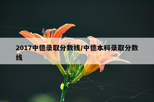 2017中德录取分数线/中德本科录取分数线