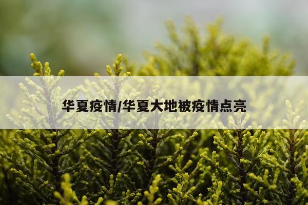 华夏疫情/华夏大地被疫情点亮