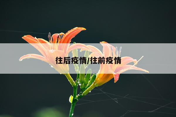 往后疫情/往前疫情