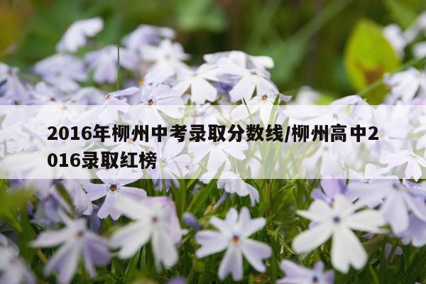 2016年柳州中考录取分数线/柳州高中2016录取红榜