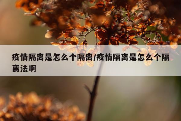 疫情隔离是怎么个隔离/疫情隔离是怎么个隔离法啊