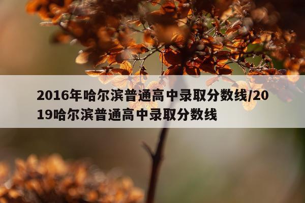 2016年哈尔滨普通高中录取分数线/2019哈尔滨普通高中录取分数线
