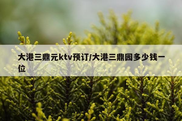 大港三鼎元ktv预订/大港三鼎园多少钱一位