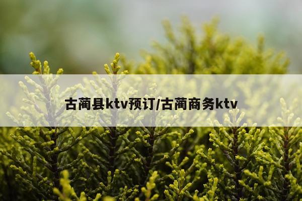 古蔺县ktv预订/古蔺商务ktv
