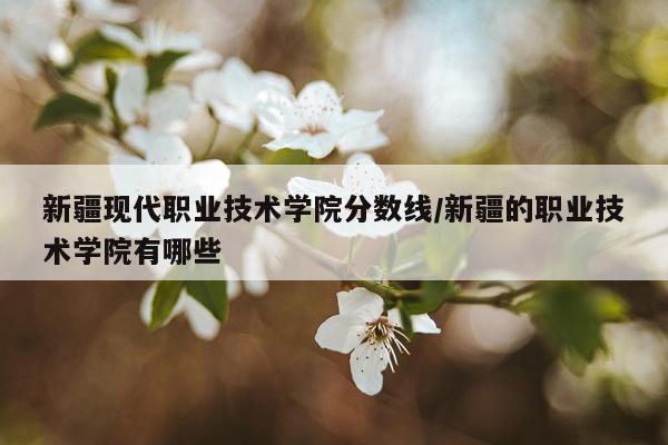 新疆现代职业技术学院分数线/新疆的职业技术学院有哪些