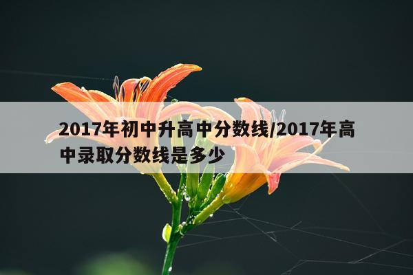 2017年初中升高中分数线/2017年高中录取分数线是多少