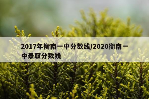 2017年衡南一中分数线/2020衡南一中录取分数线