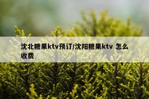 沈北糖果ktv预订/沈阳糖果ktv 怎么收费