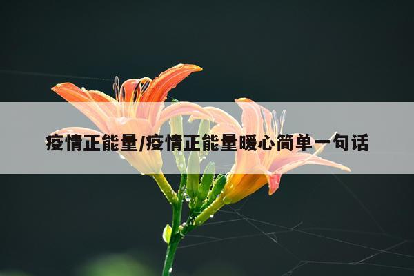 疫情正能量/疫情正能量暖心简单一句话