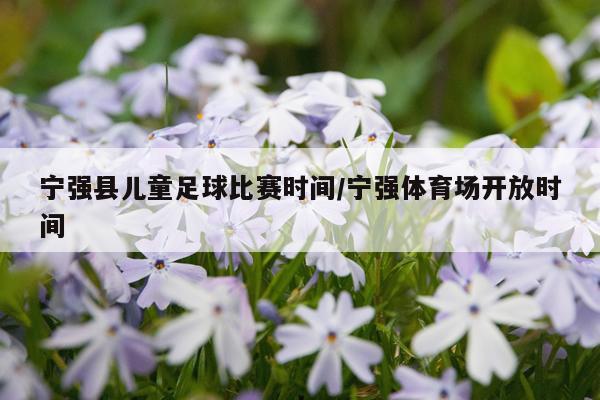 宁强县儿童足球比赛时间/宁强体育场开放时间