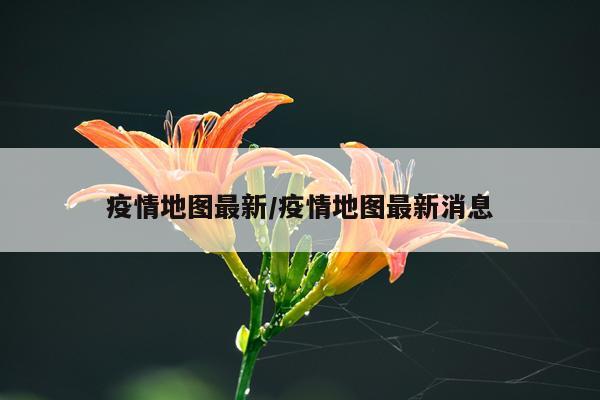 疫情地图最新/疫情地图最新消息