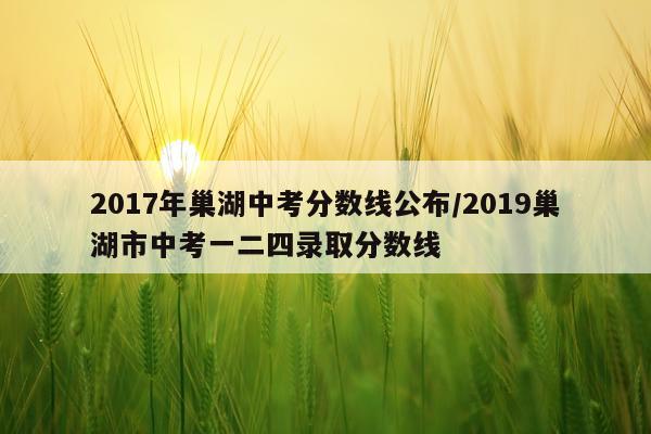 2017年巢湖中考分数线公布/2019巢湖市中考一二四录取分数线