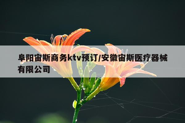 阜阳宙斯商务ktv预订/安徽宙斯医疗器械有限公司