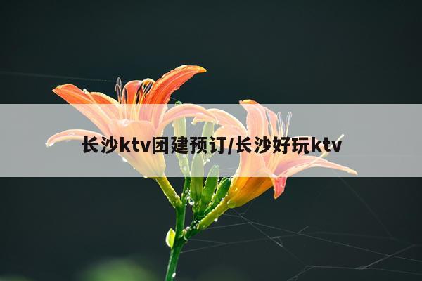 长沙ktv团建预订/长沙好玩ktv